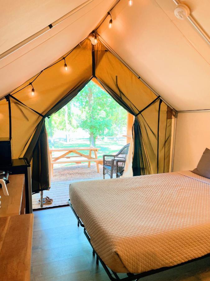 Son'S Blue River Camp Glamping Cabin #14 This Is The Place You'Ve Been Searching For! Kingsbury Exteriér fotografie